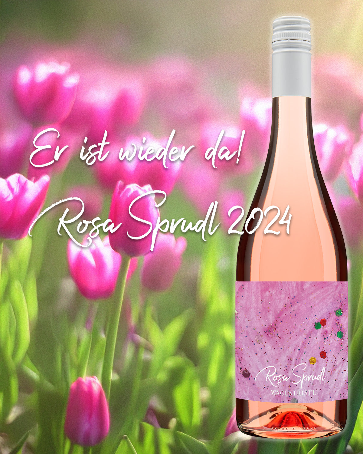 ROSA SPRUDL 2024